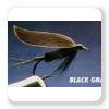 Black Gnat