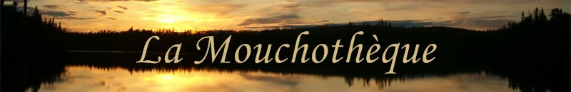 La Mouchothèque